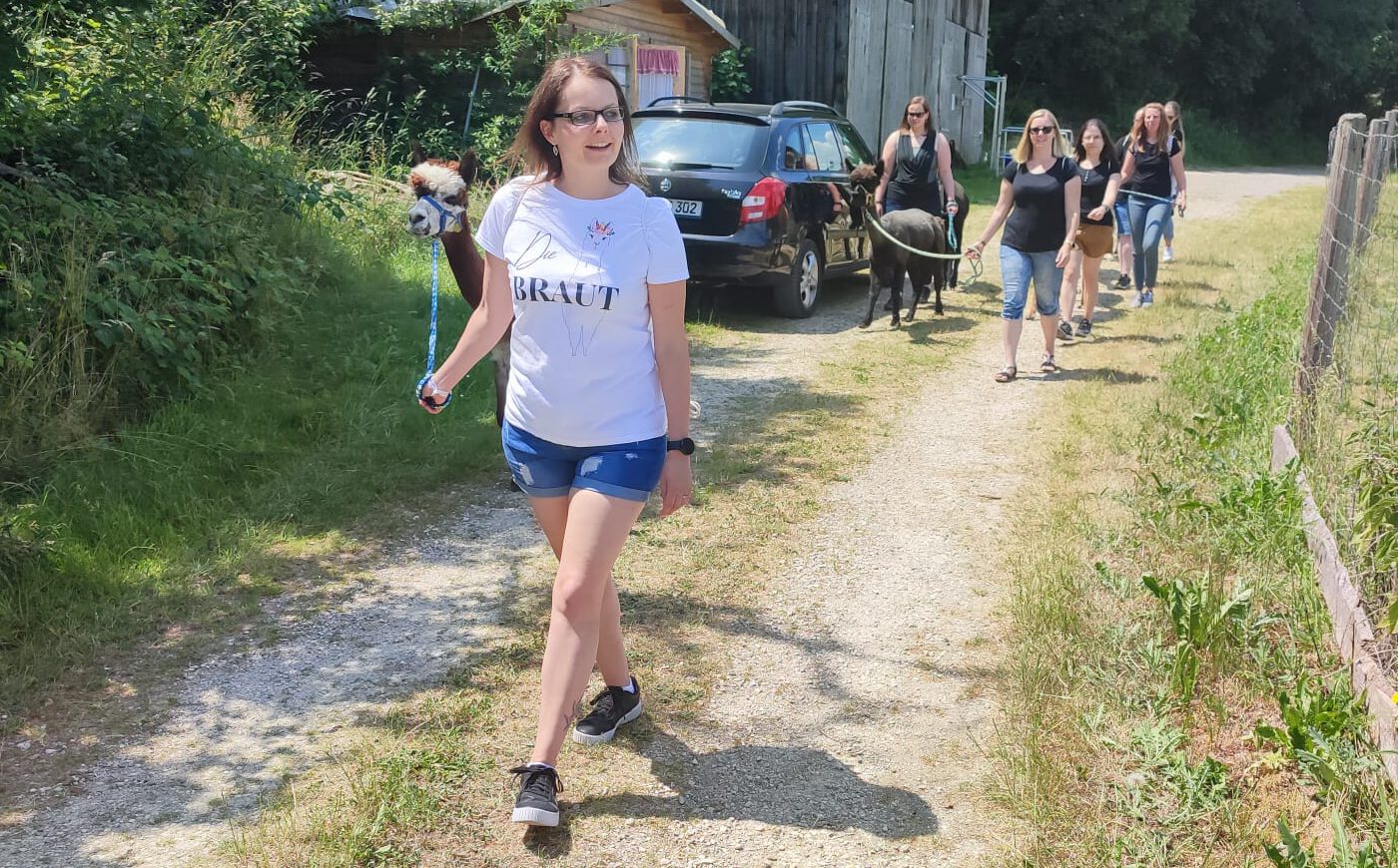 Alpakawanderung mit einer Gruppe von Gästen bei Schönenberg Alpakas in Jettingen-Scheppach, Bayern.