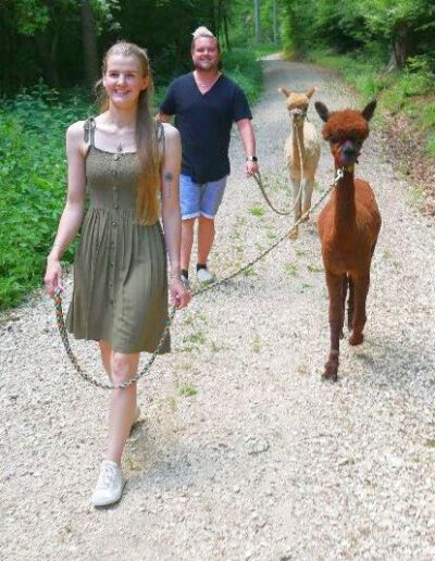 Gruppenwanderung mit Schönenberg Alpakas im Mindeltal, Jettingen-Scheppach