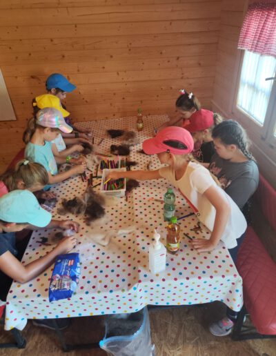 Kinder malen und basteln mit Alpakas.