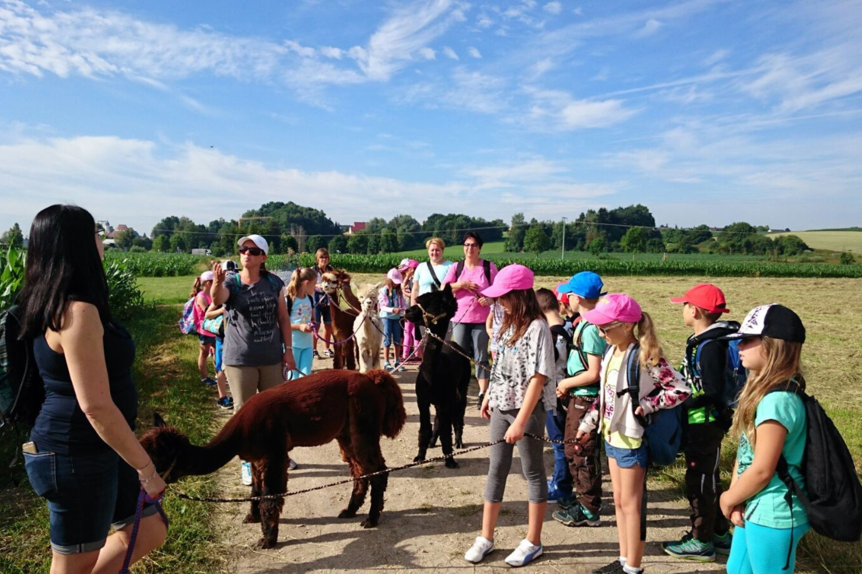 Kinder laufen mit Alpakas durch die Natur. Schönenberg Alpakas aus dem Mindeltal bei Jettingen-Scheppach stehen für solche besonderen Erlebnisse.