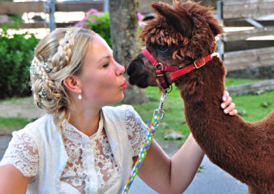 Braut mit Alpaka bei Hochzeit