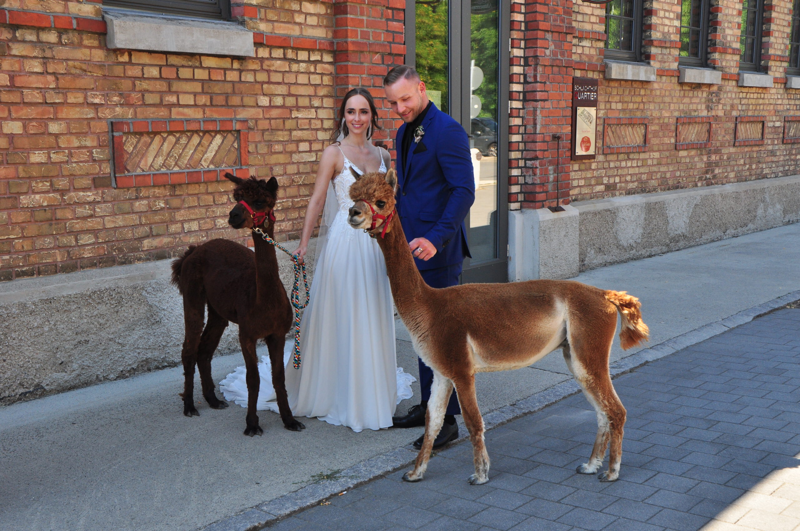 Braut lächelt in die Kamera