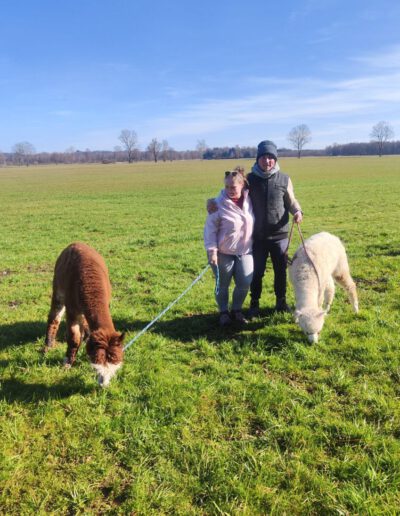 Paar mit Alpakas auf Wiese