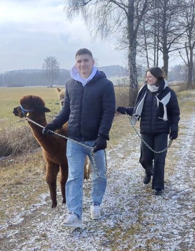 Paar mit Alpakas