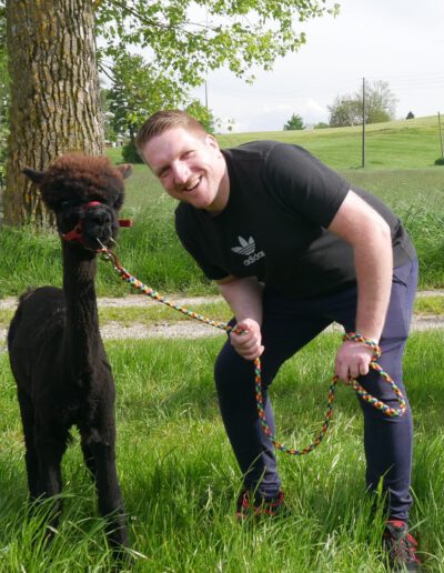 Mann mit schwarzem Alpaka im Gras