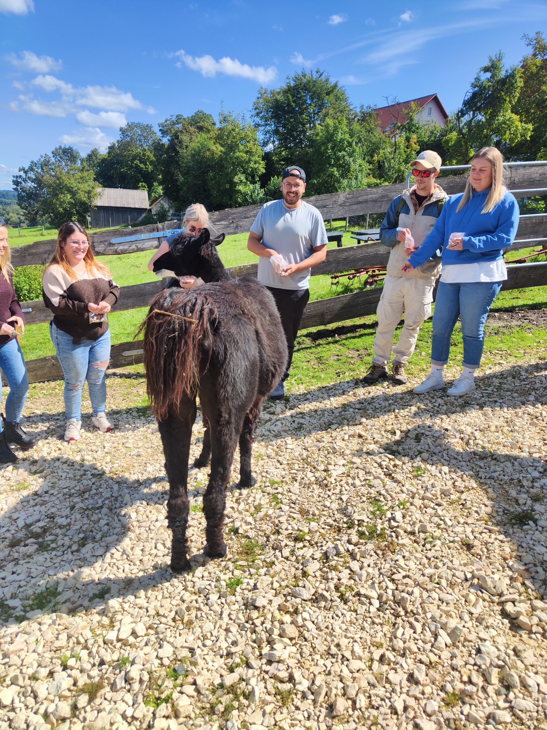 Abenteuer und Auszeiten 8 Besuch bei den Lamas