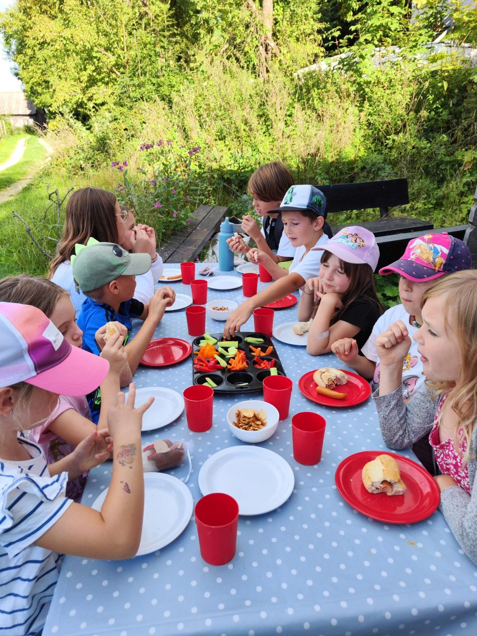 Kindergeburtstag und Brotzeit mit Alpakas - Schönenberg Alpakas Kinder sitzen beim Kindergeburtstag bei Schönenberg Alpakas in Jettingen-Scheppach im Landkreis Günzburg an einem gedeckten Tisch, essen gemeinsam und lachen fröhlich im Mindeltal.