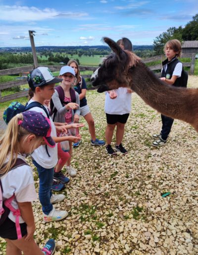 Kinder besuchen die Lamas
