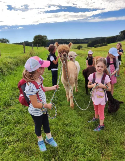Kinder laufen mit Alpakas bei der Geburtstagswanderung von Schönenberg Alpakas im Mindeltal, Bayern.