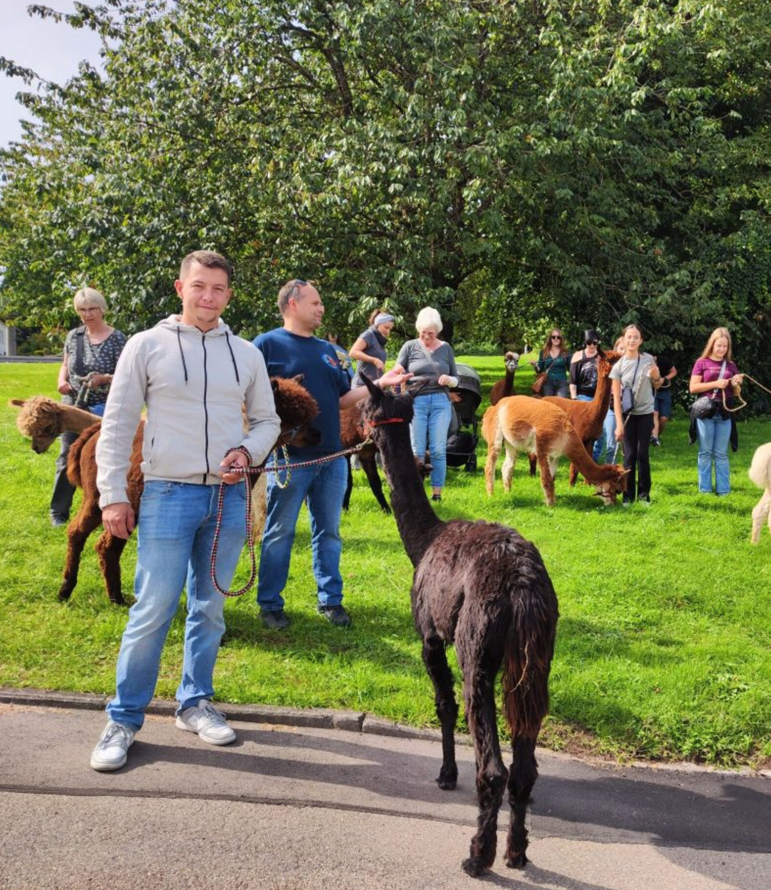 Eine Gruppe startet mit den Alpakas