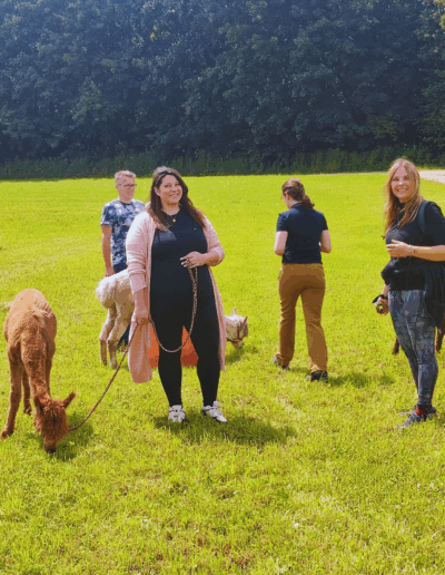 Gäste stehen mit ihren Alpakas