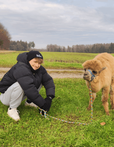 Teilnehmer mit Alpaka