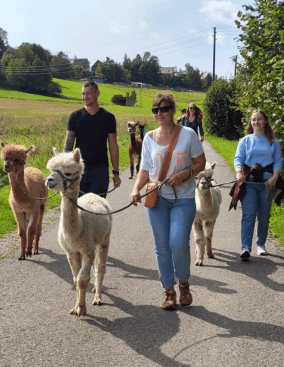 Teilnehmer mit Alpakas
