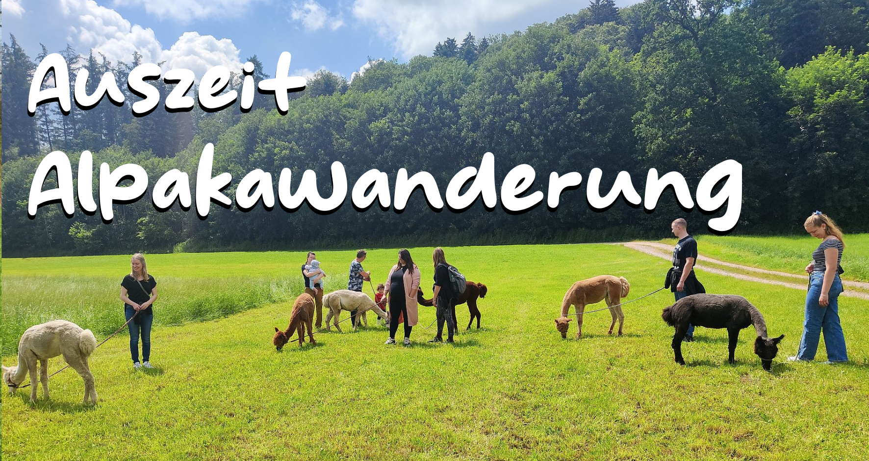 Auszeit Alpakawanderung51