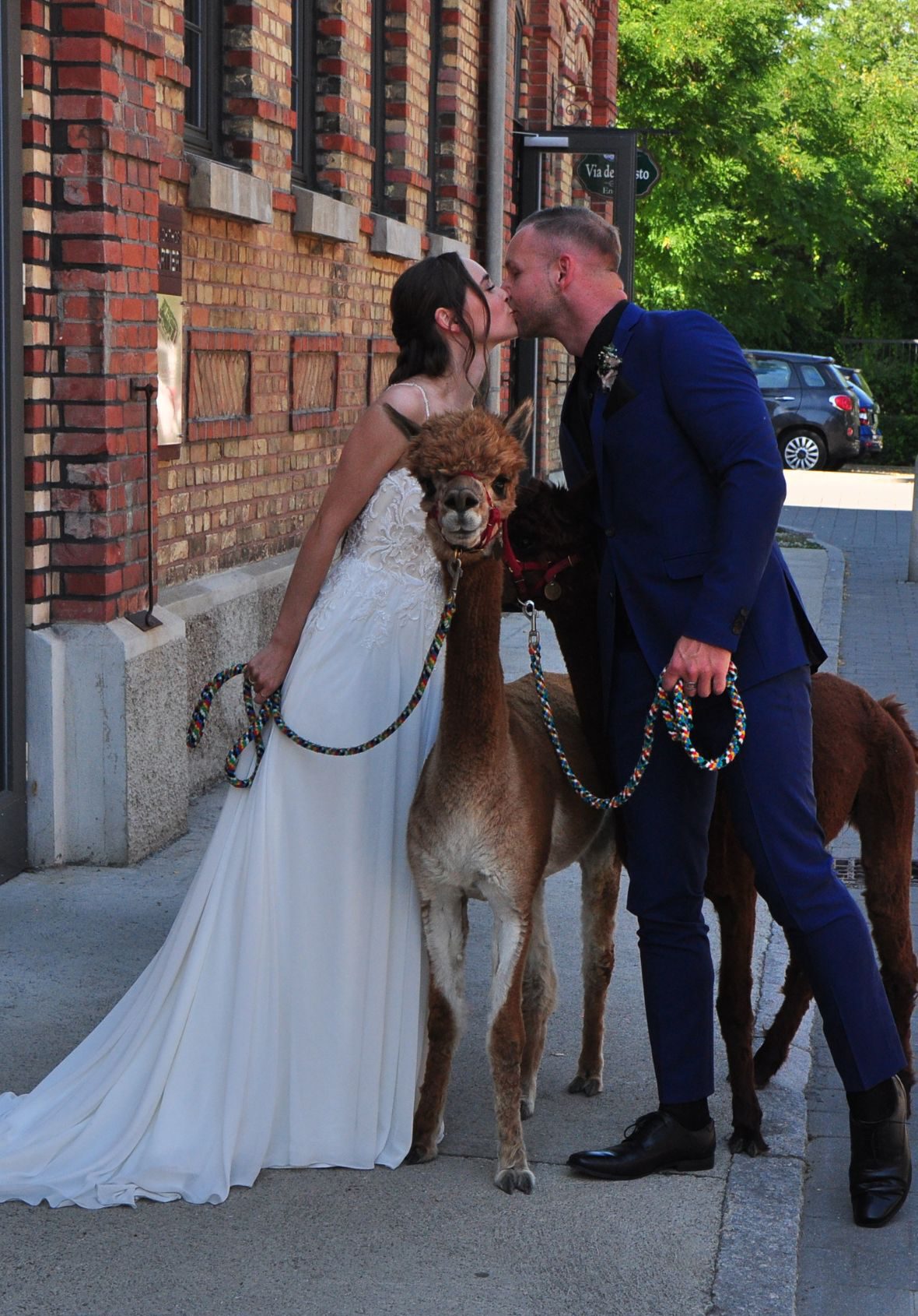 Das Brautpaar küsst sich bei der Hochzeit