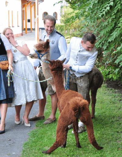 Brautpaar und Gäste lachen,