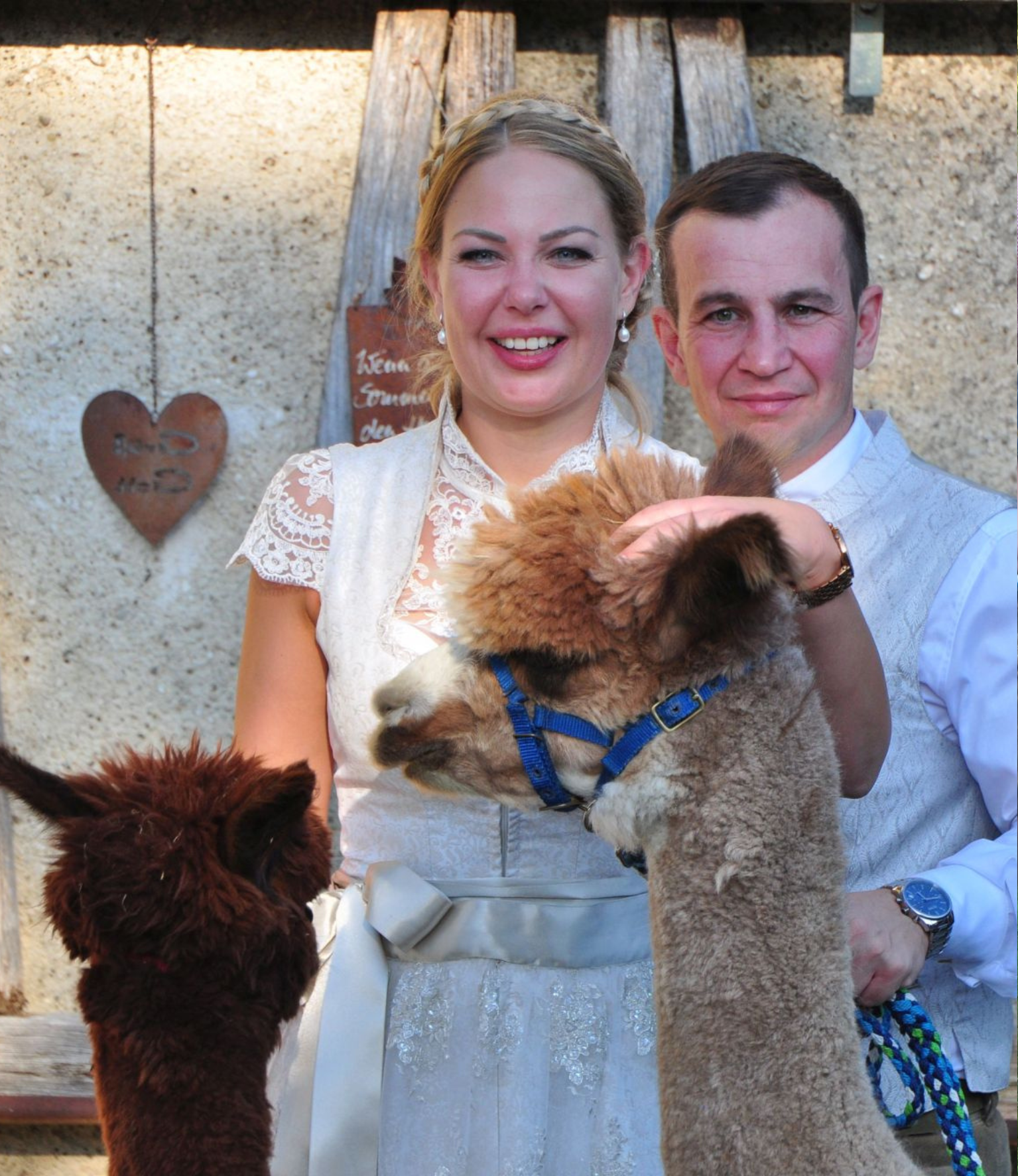 Brautpaar steht mit einem Alpaka