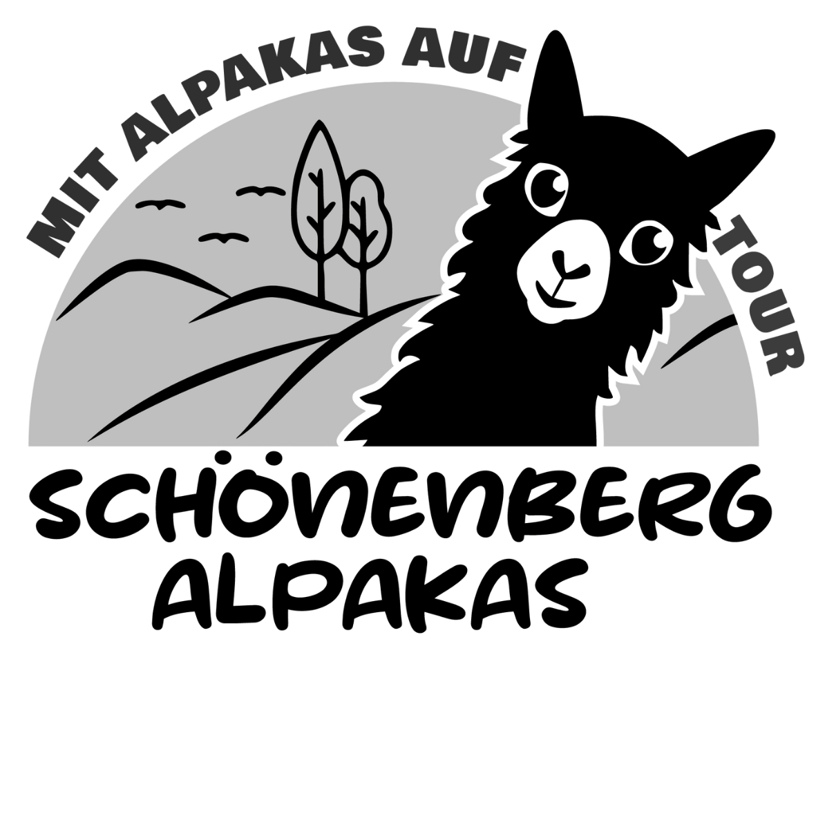 Schönenberg Alpakas