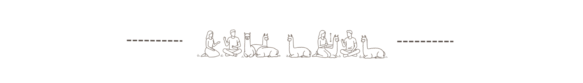 Menschen posieren mit Alpakas.