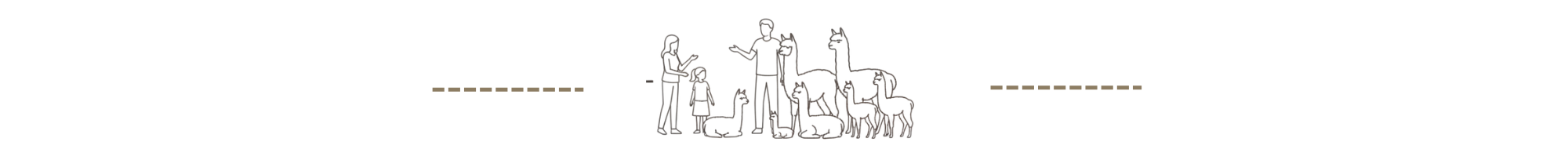 Menschen stehen mit Alpakas zusammen.