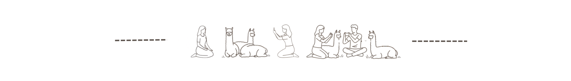 Menschen fotografieren Alpakas