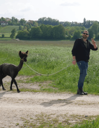 Gast mit Alpaka