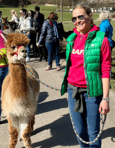 Gäste warten mit Alpakas
