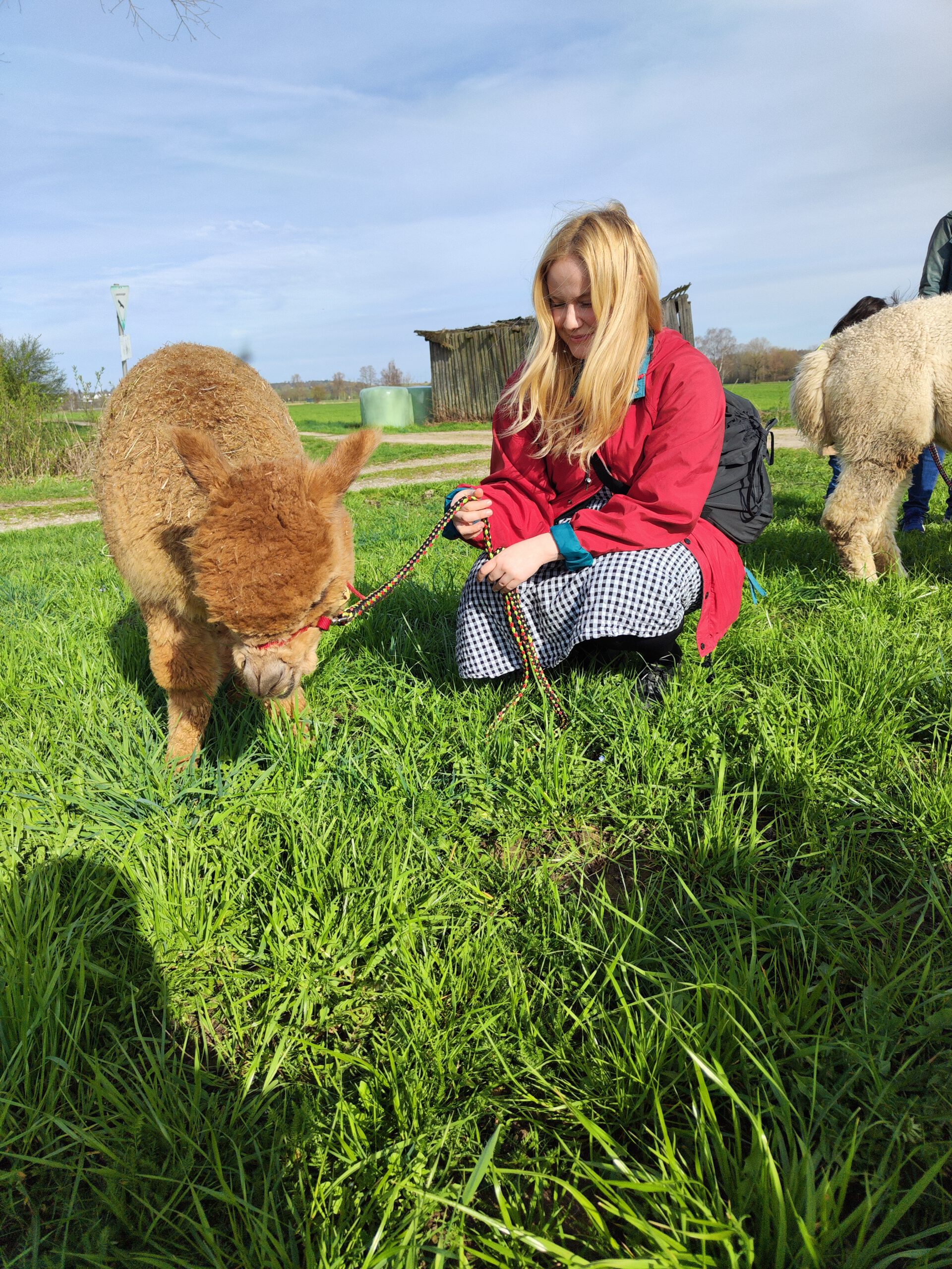 Auszeit Alpakawanderung im Mindeltal</p>
<p>