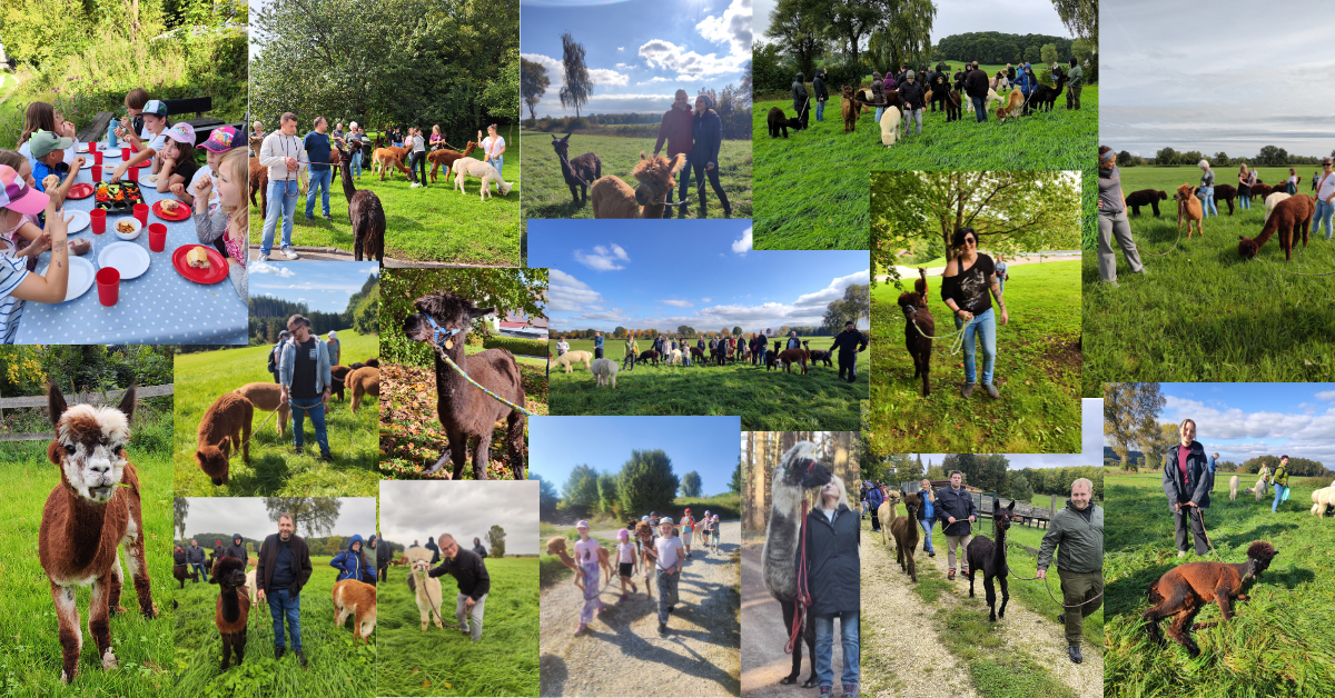 Jahresrückblick 2025