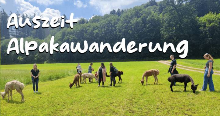 Auszeit Alpakawanderung
