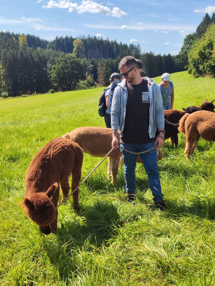 auszeit-alpakawanderung-schoenenberg-alpakas4-1 Gast mit Leonardo