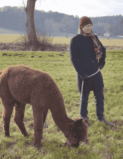 männlicher Gast mit Alpaka