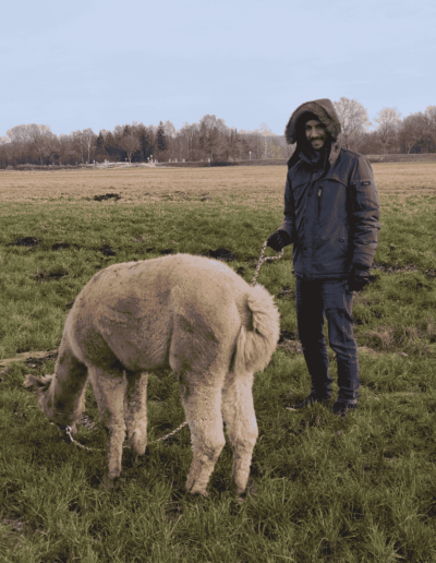 Gast mit Alpaka