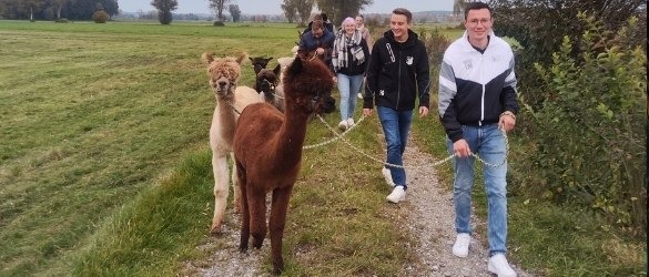 Alpa­ka­wan­de­rung in den letz­ten Feri­en­ta­gen